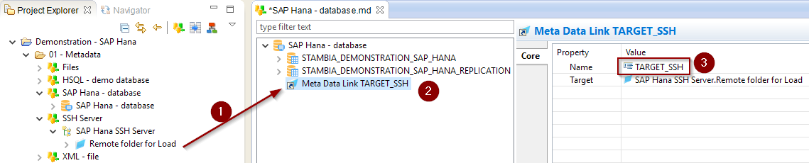 getting started sap hana metadata ssh link