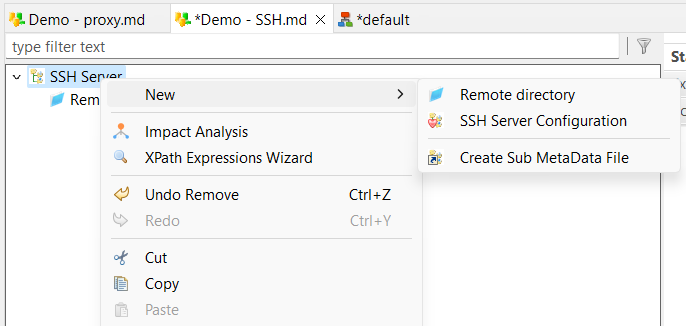 SSH metadata submenu labeled Remote directory