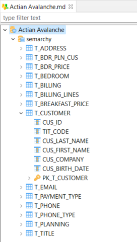 getting started actian avalanche metadata overview