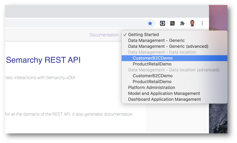 Query Data via the REST API