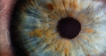 eye